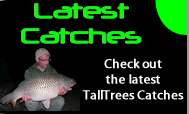 TallTrees Latest Catches